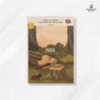 Cerita-cerita Soe Hok Gie Amaludin