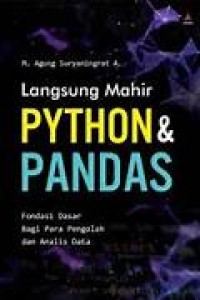 Langsung Mahir Python & Pandas