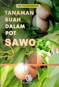 Image of TANAMAN BUAH DALAM POT SAWO